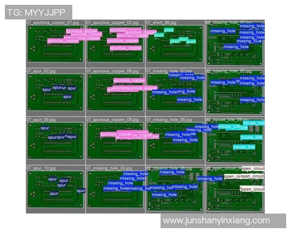 广州乒乓球队灵活应变的训练与比赛策略探讨
